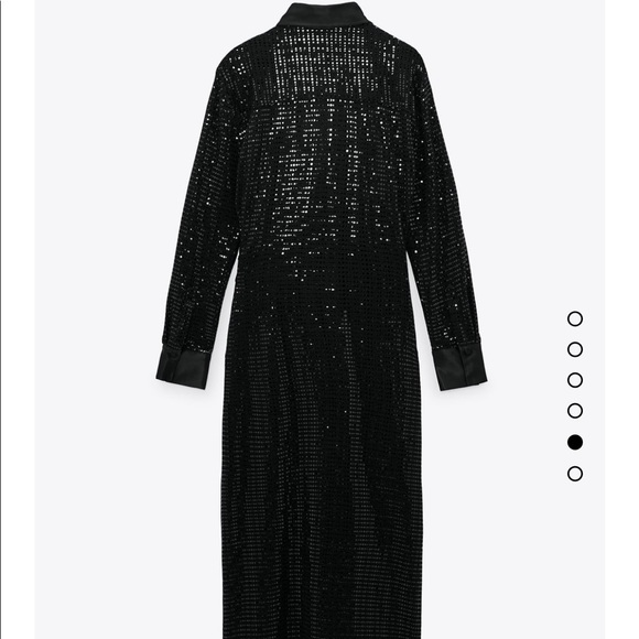 ZARA SEQUIN Black Dress - Picture 7 of 13